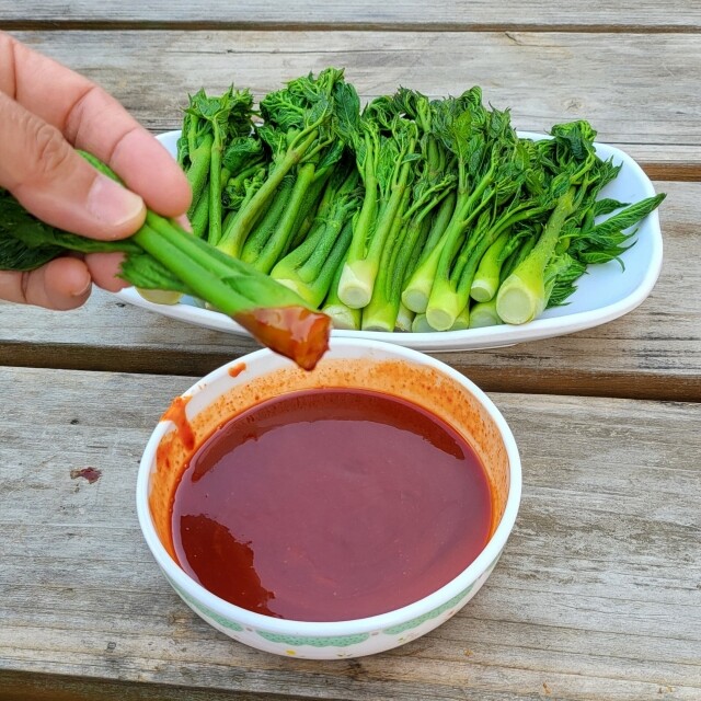 강원도 홍천 참두릅 500g, 1kg